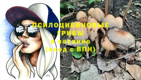 PSILOCYBIN Ладушкин